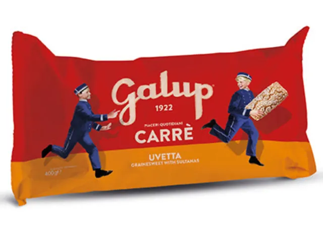 galup-carr-con-uvetta-400g image 1