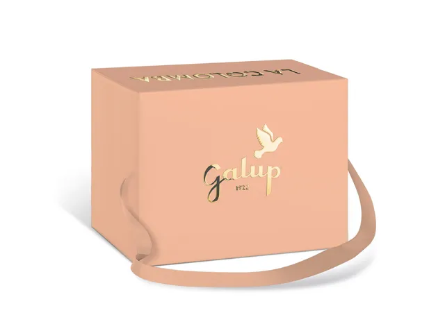 galup-colomba-gran-galup-pesca-e-vaniglia-750g image 1