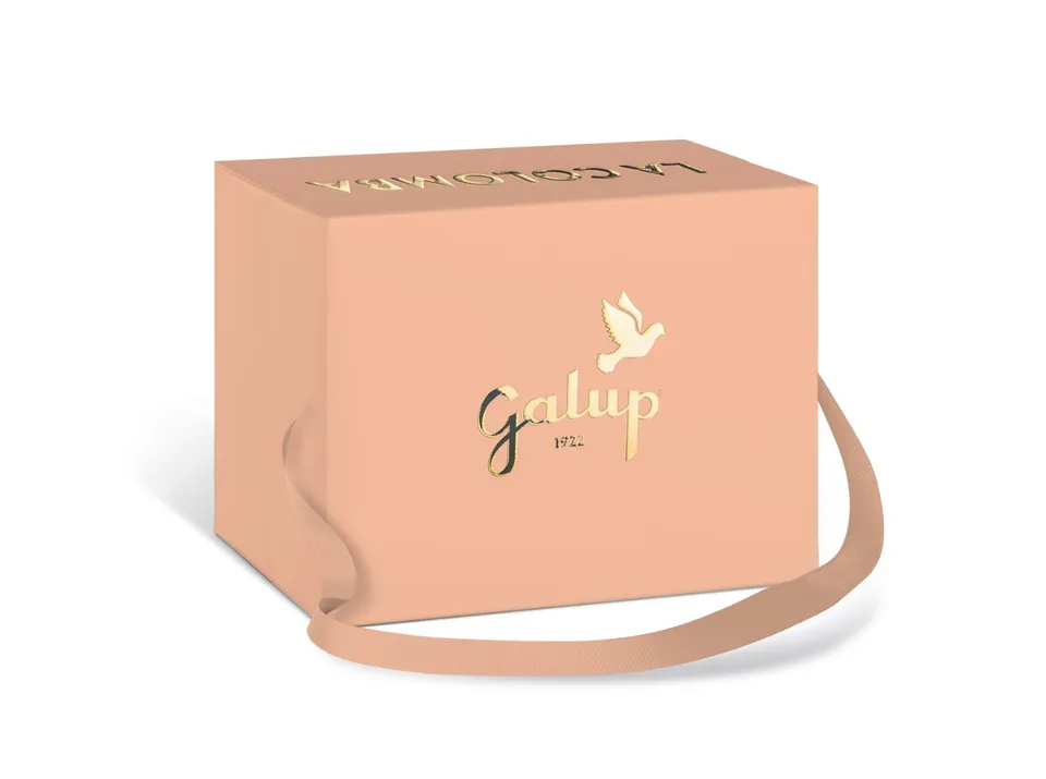 galup-colomba-gran-galup-pesca-e-vaniglia-750g image 1