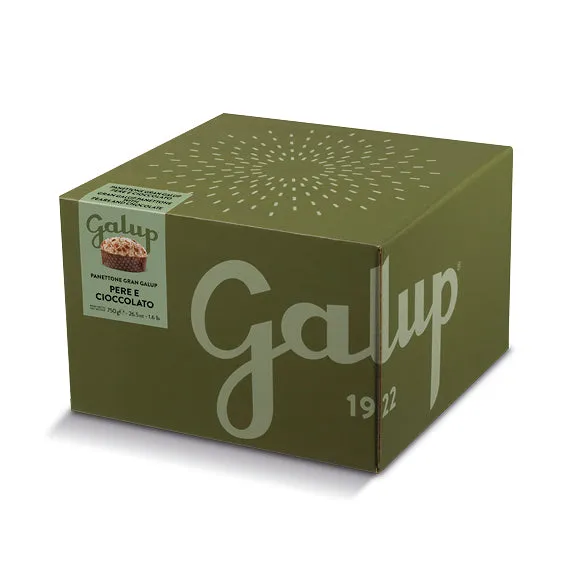 galup-panettone-gran-galup-pere-e-cioccolato-750g-2 image 1