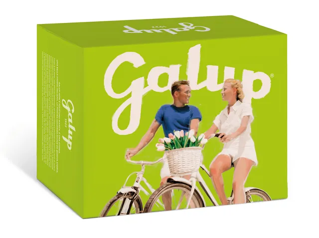galup-colomba-gran-galup-pere-e-cioccolato-750g-2 image 1