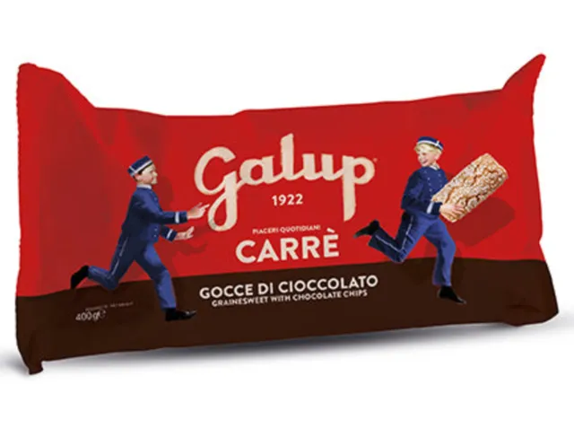 galup-carr-con-gocce-di-cioccolato-400g image 1