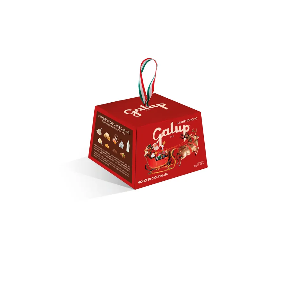 galup-panettoncino-con-gocce-di-cioccolato-100g image 1