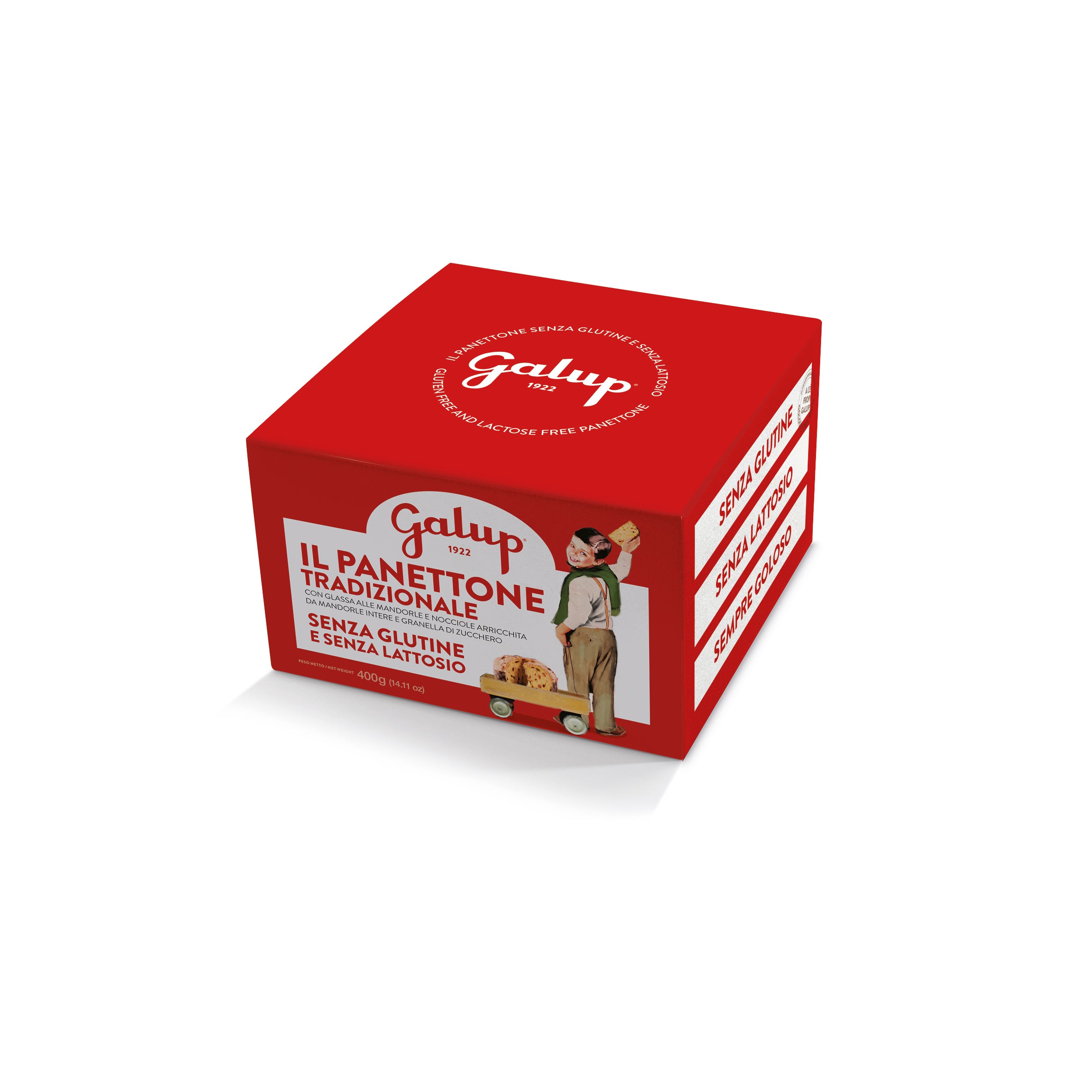 galup-panettone-gran-galup-tradizionale-senza-glutine-400g image 1