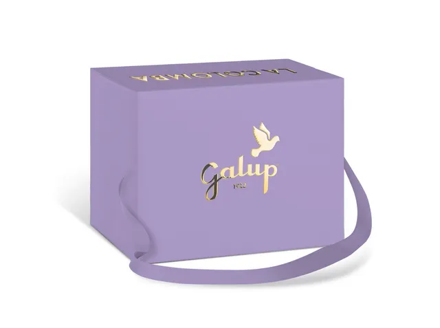 galup-colomba-gran-galup-lampone-e-cioccolato-750g image 1
