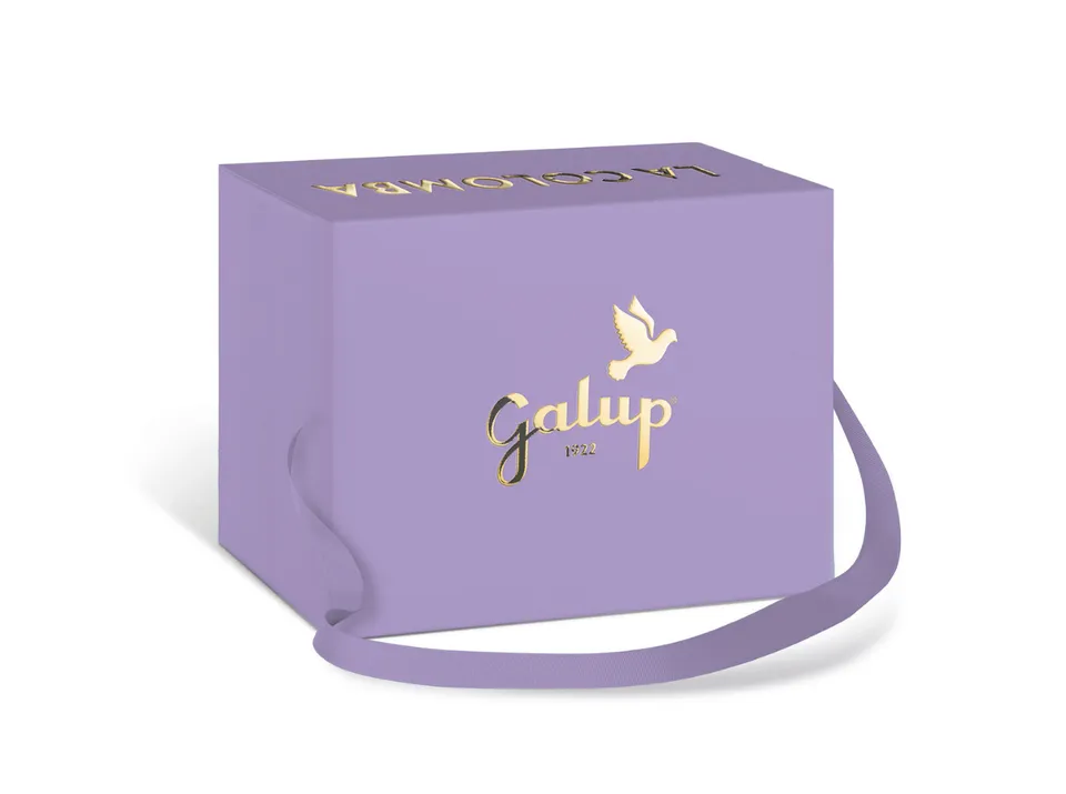 galup-colomba-gran-galup-lampone-e-cioccolato-750g image 1