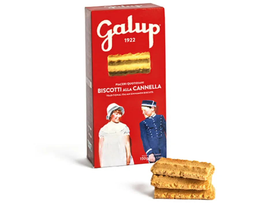 galup-biscotti-alla-cannella-150g image 1
