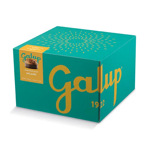 galup-panettone-galup-milano-750g-ricetta-milanese-tradizionale image 1