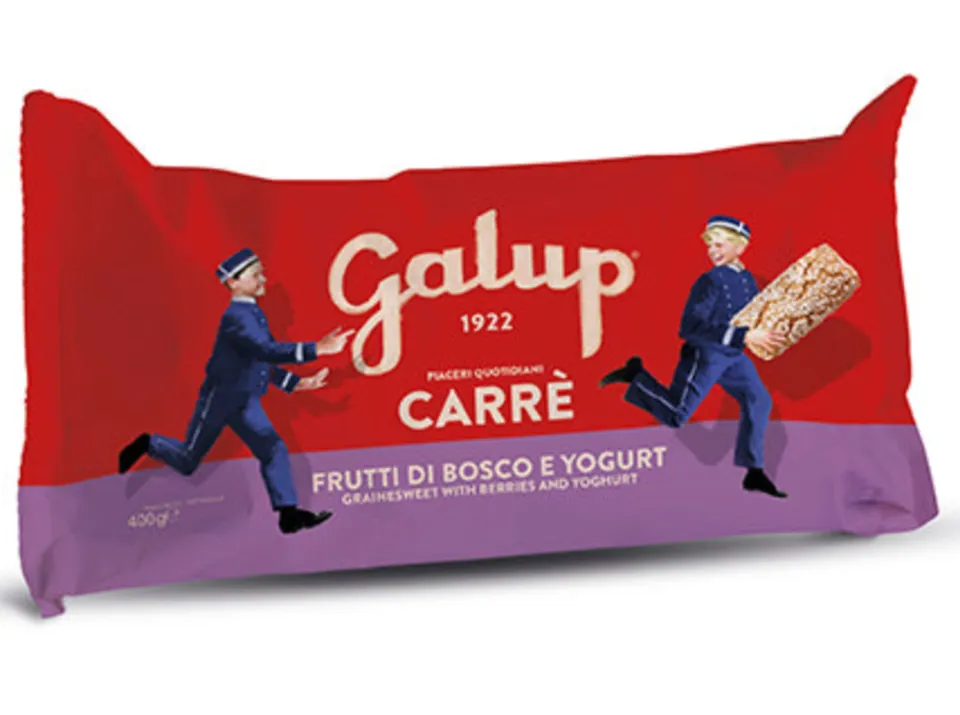 galup-carr-frutti-di-bosco-e-yogurt-400g image 1
