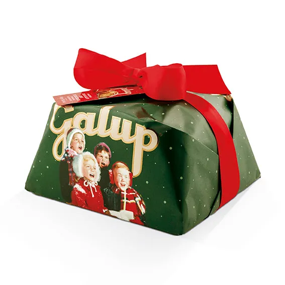galup-panettone-cioccolato-fondente-farcito-pistacchio-900g image 1