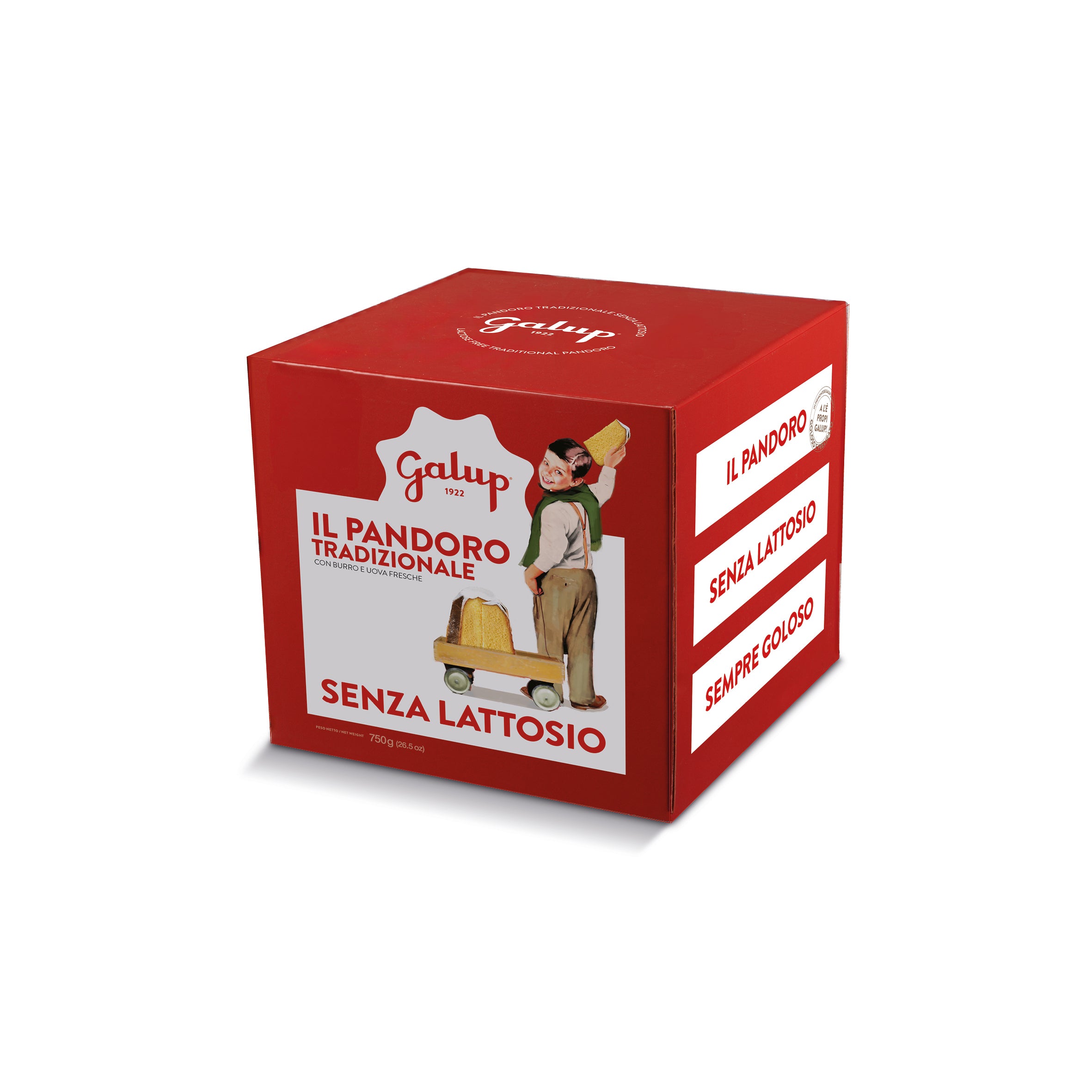 galup-pandoro-classico-senza-lattosio-750g image 1