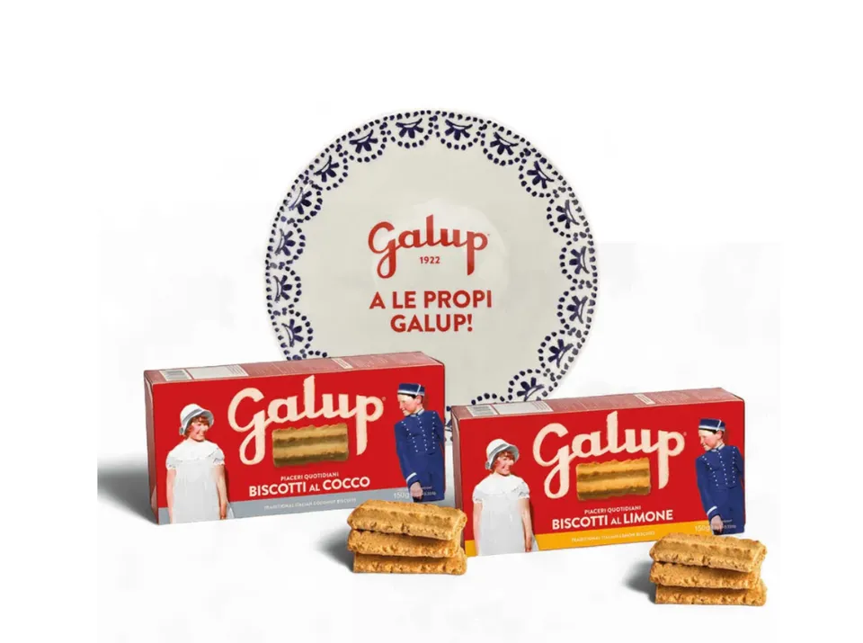 galup-duo-pack-biscotti-limone-cocco-con-piatto-collezione image 1