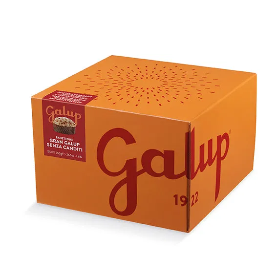 galup-panettone-senza-canditi-750g-con-uvetta-e-glassa-nocciole image 1