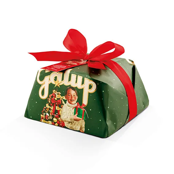 galup-panettone-classico-gran-galup-750g image 1