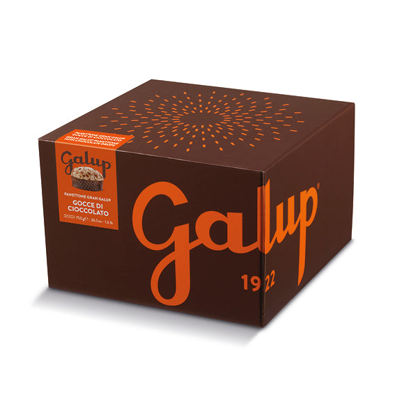 galup-panettone-gran-galup-gocce-di-cioccolato-750g image 1