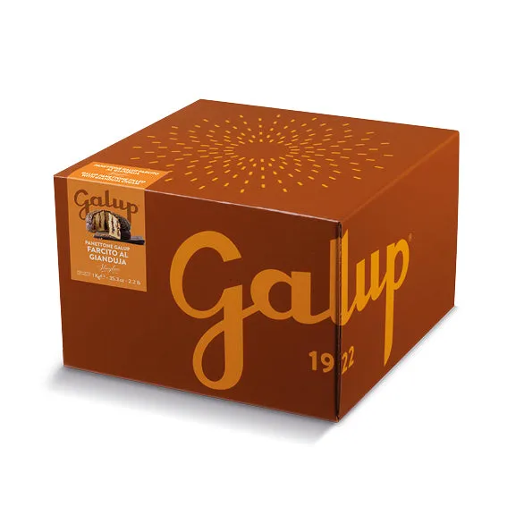 galup-panettone-crema-gianduja-streglio-1000g image 1