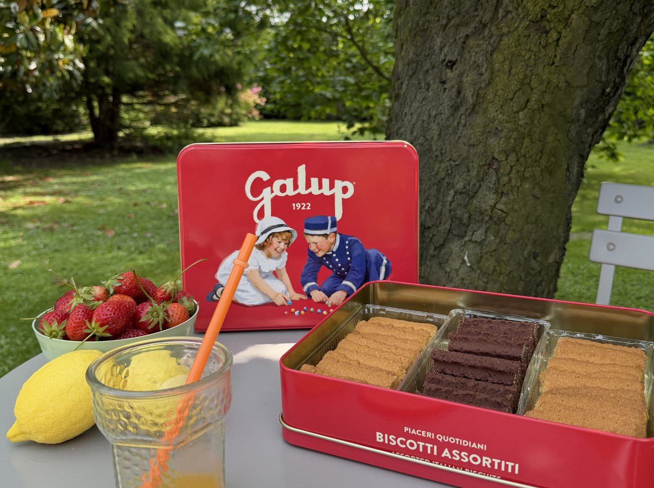 galup-latta-biscotti-assortiti-450g-mais-limone-e-cacao image 2