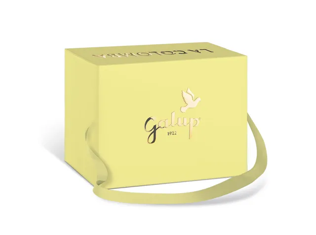 galup-colomba-gran-galup-limone-e-albicocca-750g image 1