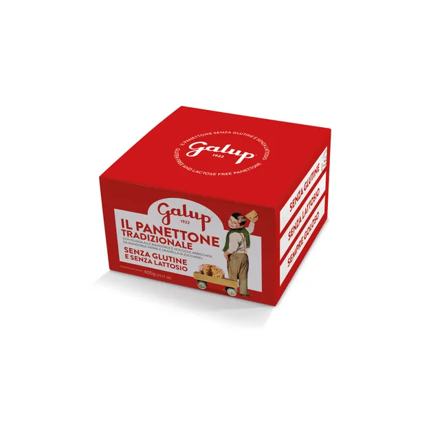 galup-panettone-gran-galup-tradizionale-senza-glutine-400g image 1