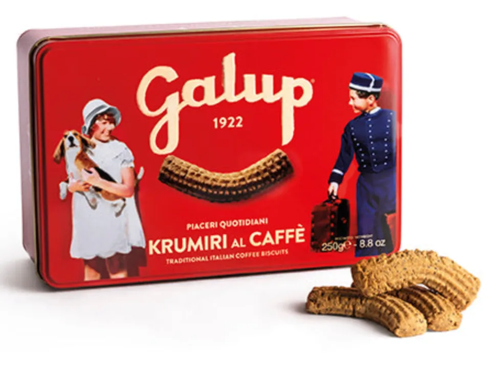 galup-biscotti-krumiri-al-caff-in-latta-250g image 1