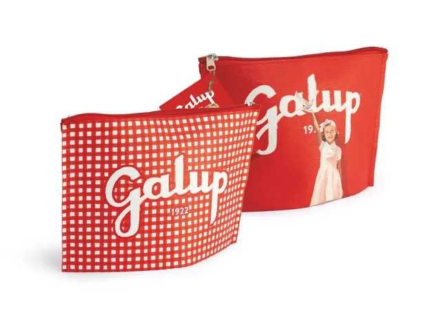 galup-colombina-tradizionale-100g-pochette-vichy image 1