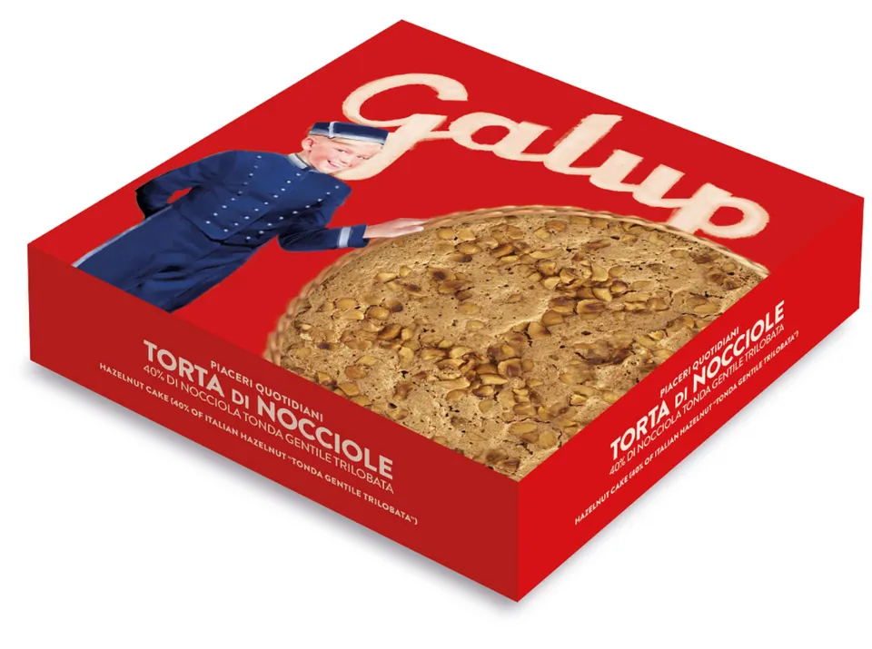 galup-torta-di-nocciole-40-torta-piemontese-300g image 1