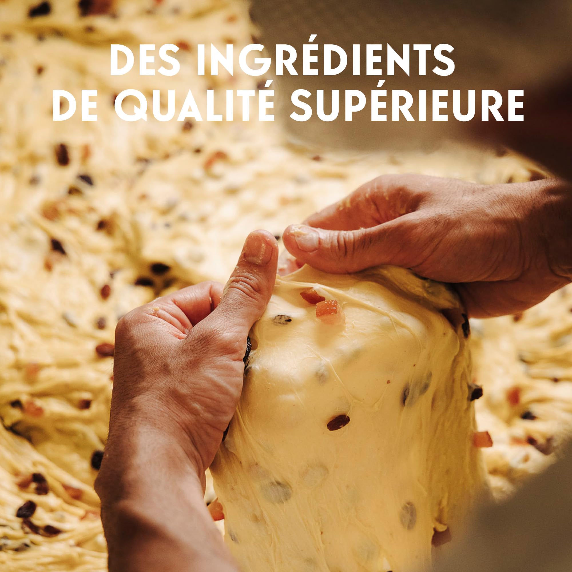 vergani-panettone-biologico-foglie-750g image 6