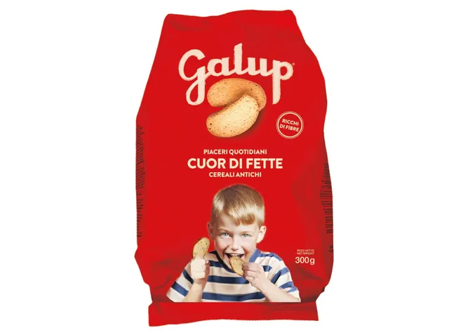 galup-cuor-di-fette-fette-biscottate-ai-cereali-antichi-300g image 1