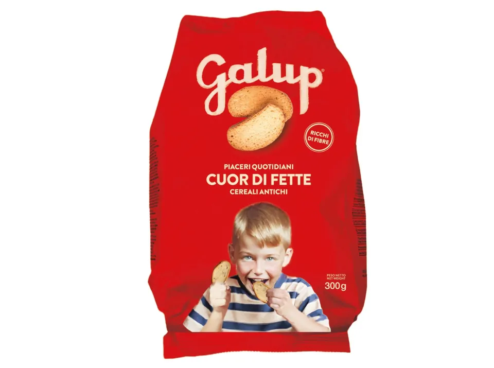 galup-cuor-di-fette-fette-biscottate-ai-cereali-antichi-300g image 1