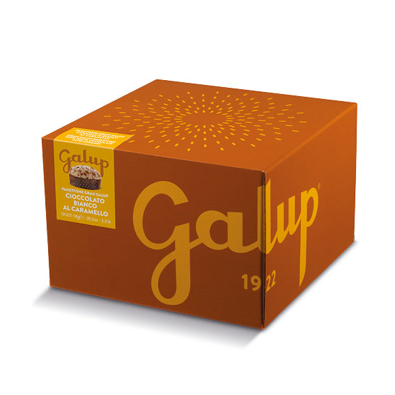 galup-panettone-gran-galup-gocce-cioccolato-caramello-1000g image 1