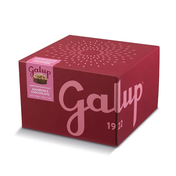 galup-panettone-gran-galup-amarene-e-cioccolato-750g image 1