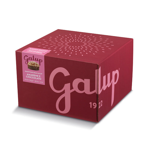 galup-panettone-gran-galup-amarene-e-cioccolato-750g image 1