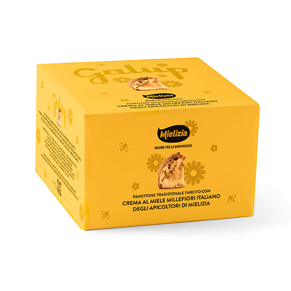 galup-panettone-milano-900g-farcito-crema-miele-mielizia image 1
