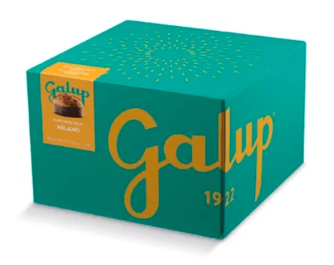 galup-panettone-milano-1000g image 1