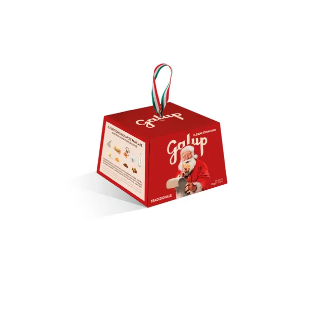 galup-panettoncino-tradizionale-100g-con-glassa-nocciola image 1