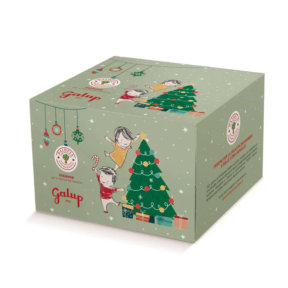 galup-panettone-tradizionale-paideia-750g image 1